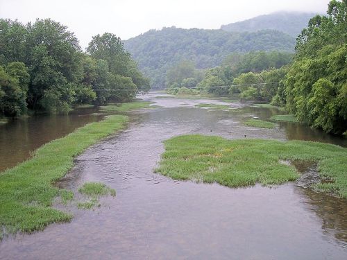 A serene river flows through lush greenery, with gentle hills in the background under a misty sky.