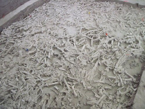 A large excavation site filled with numerous skeletal remains scattered across a concrete surface.
