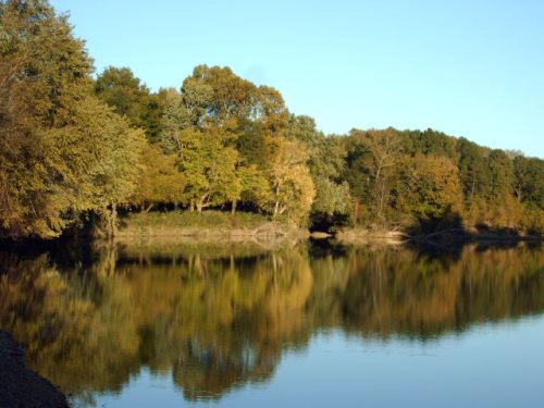 A serene river scene with trees reflecting on the water under a clear blue sky.