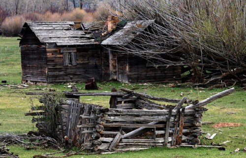An abandoned wooden house and a dilapidated fence in a grassy field, surrounded by bare trees.