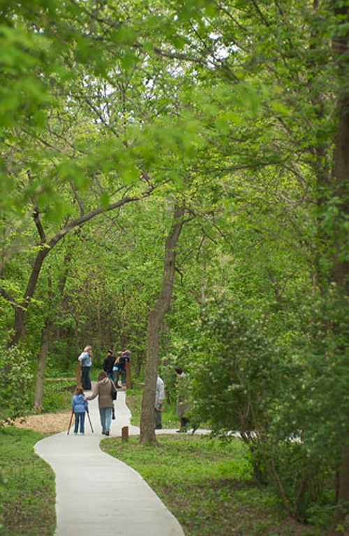 A winding path through a lush green park, with people walking and enjoying nature.