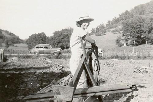 alt