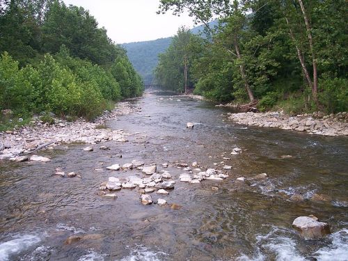 A serene river flows through a lush green landscape, flanked by trees and rocky banks under a clear sky.