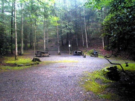 A serene forest campsite with picnic tables, surrounded by trees and a gravel path, under a misty atmosphere.