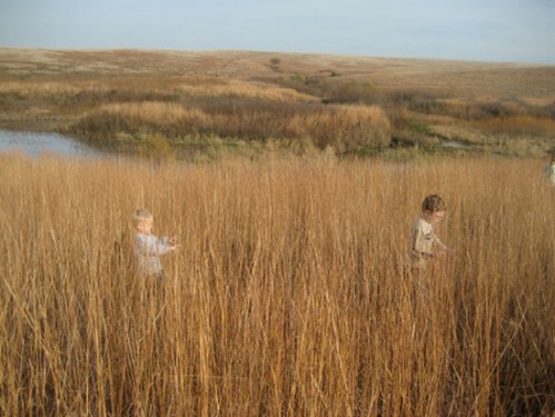 Two children play in tall grass near a serene body of water, surrounded by a natural landscape.