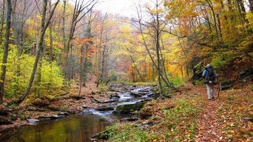 A hiker walks along a stream surrounded by colorful autumn foliage and trees in a serene forest setting.