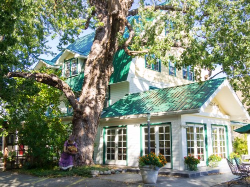 A charming house with a green roof, surrounded by trees and flowers, featuring large windows and a cozy outdoor area.