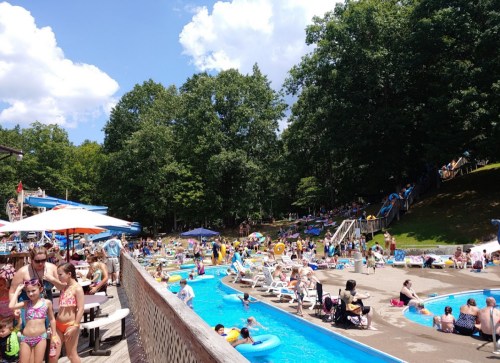 A busy water park scene with people swimming, lounging, and enjoying slides under a sunny sky and trees.