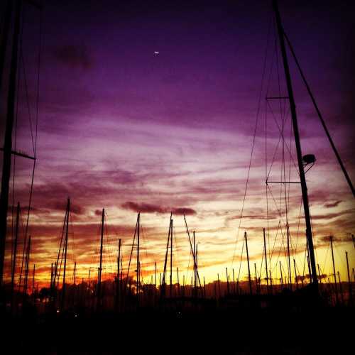 Silhouetted masts against a vibrant sunset sky with purple and orange hues, and a crescent moon visible.