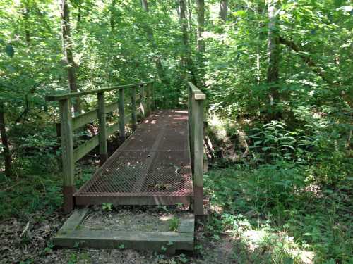 A small metal bridge over a stream, surrounded by lush green trees and foliage in a wooded area.