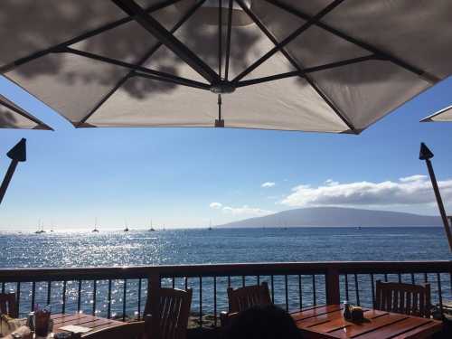 A sunny seaside view with sailboats on the water and a distant island, framed by large umbrellas.