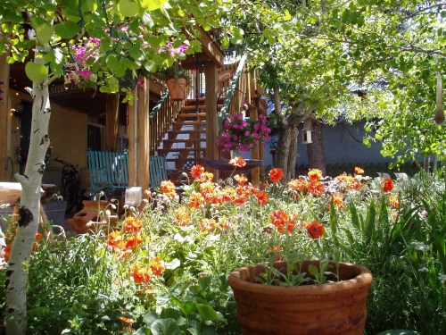 A vibrant garden filled with orange flowers, surrounded by greenery and a wooden staircase leading to a porch.