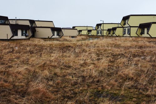 A row of modern, yellow-roofed houses amidst overgrown grass and a cloudy sky.