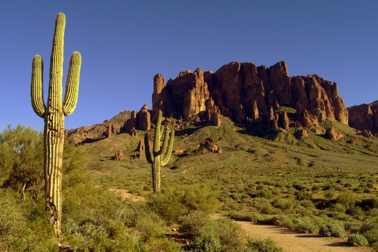 Sunset Hues And Desert Views - Lost Dutchman State Park