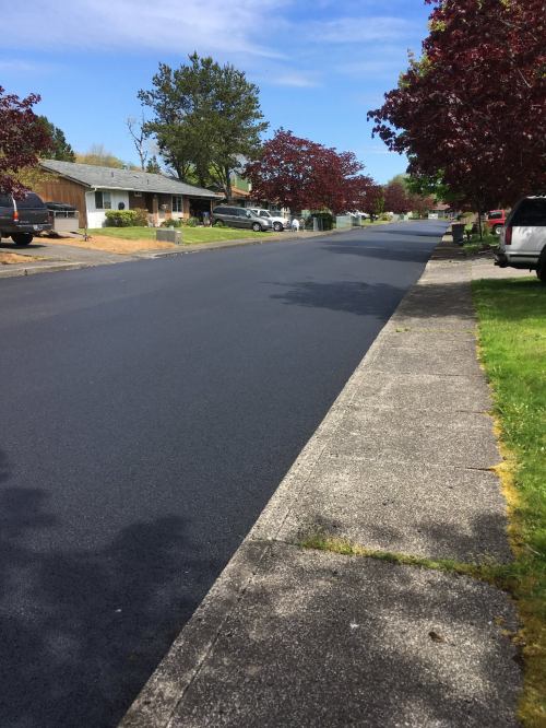 A freshly paved street lined with trees and houses under a clear blue sky.