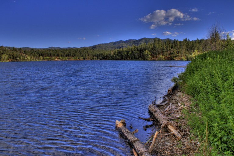 Quaint Getaway Among Ponderosas - Lynx Lake Campground
