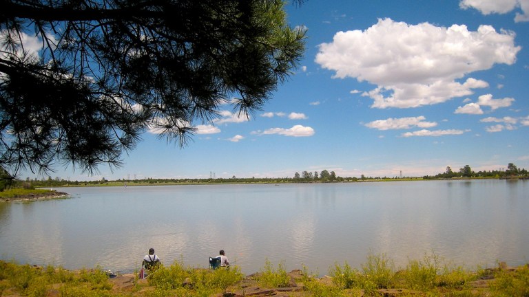 Arizona’s Hidden Lakeside Gem - Ashurst Lake Campground
