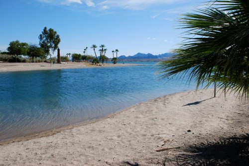 A serene beach scene with sandy shores, palm trees, and calm blue water under a clear sky. Mountains are visible in the distance.