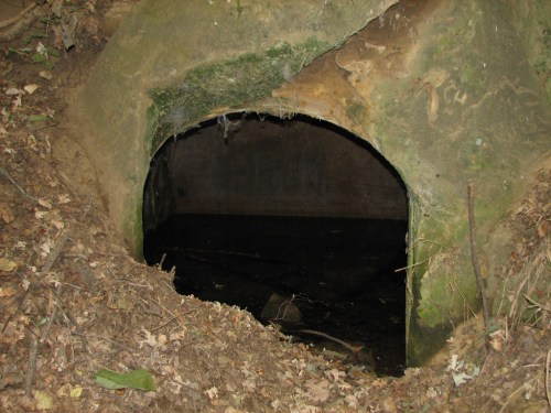 A dark, moss-covered tunnel entrance surrounded by earthy terrain and fallen leaves.