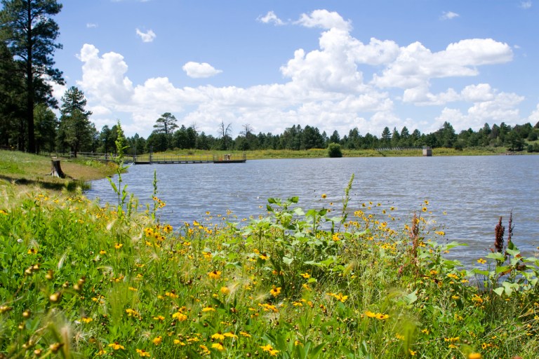 Pine-Covered Comfort Near Historic Williams - Kaibab Lake Campground