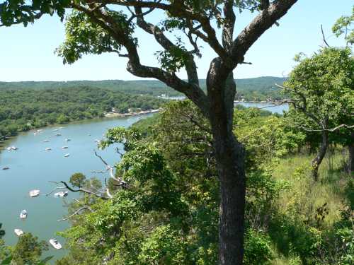 A scenic view of a river winding through lush greenery, with boats scattered on the water under a clear blue sky.