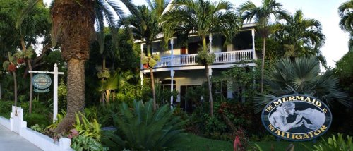 A tropical house surrounded by palm trees and lush greenery, featuring a sign for "The Mermaid & The Alligator."