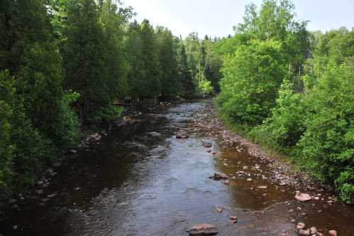 A serene river flows through a lush green landscape, surrounded by trees and rocky banks under a clear sky.