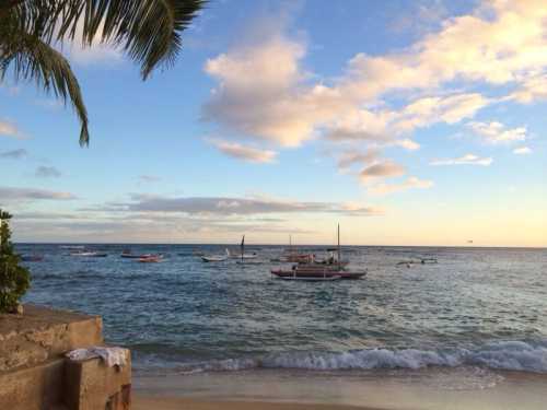 A serene beach scene with boats on calm water under a blue sky with fluffy clouds and palm trees in the foreground.