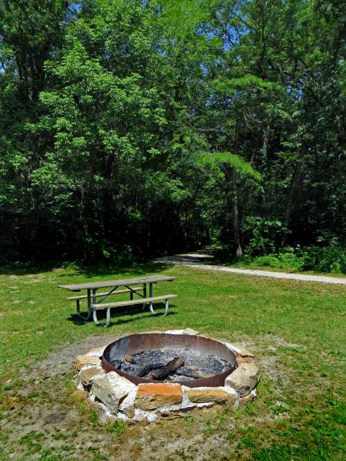 A stone fire pit surrounded by grass, with a picnic table nearby and a wooded path in the background.