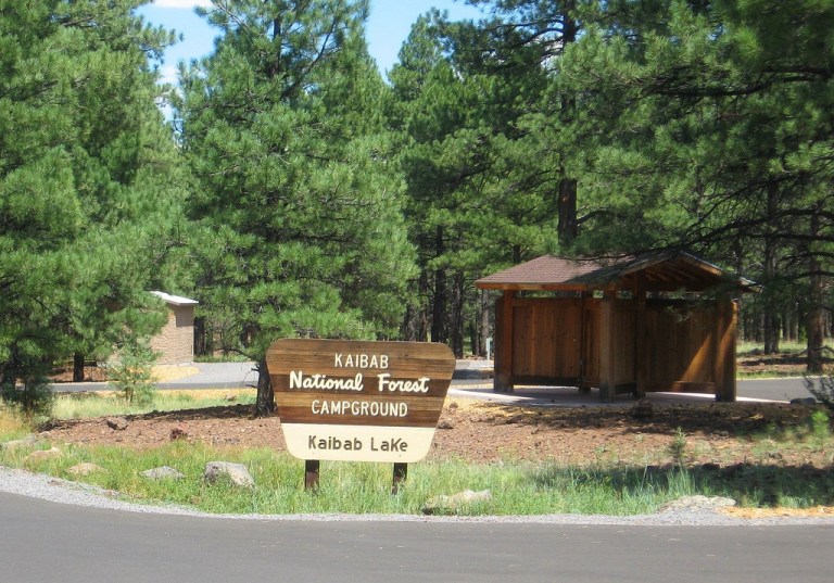 Pine-Covered Comfort Near Historic Williams - Kaibab Lake Campground