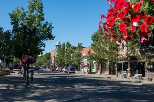 A sunny street scene with shops, trees, and colorful flower baskets lining the sidewalk in a charming town.