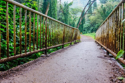 A weathered metal bridge over a path surrounded by lush greenery and trees in a misty forest.