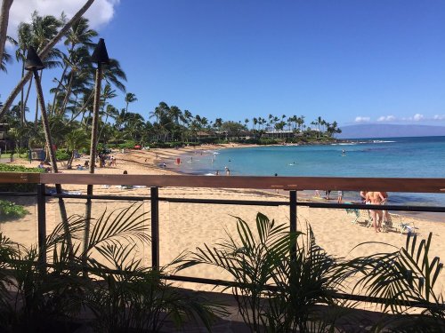 A sunny beach scene with palm trees, people enjoying the sand, and calm blue waters under a clear sky.