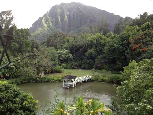 Lush green landscape with a serene pond and a small white bridge, framed by mountains in the background.