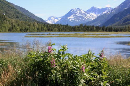 A serene landscape featuring a lake surrounded by mountains and lush greenery, with purple flowers in the foreground.
