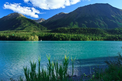 A serene lake surrounded by lush green mountains and blue skies, with tall grass in the foreground.