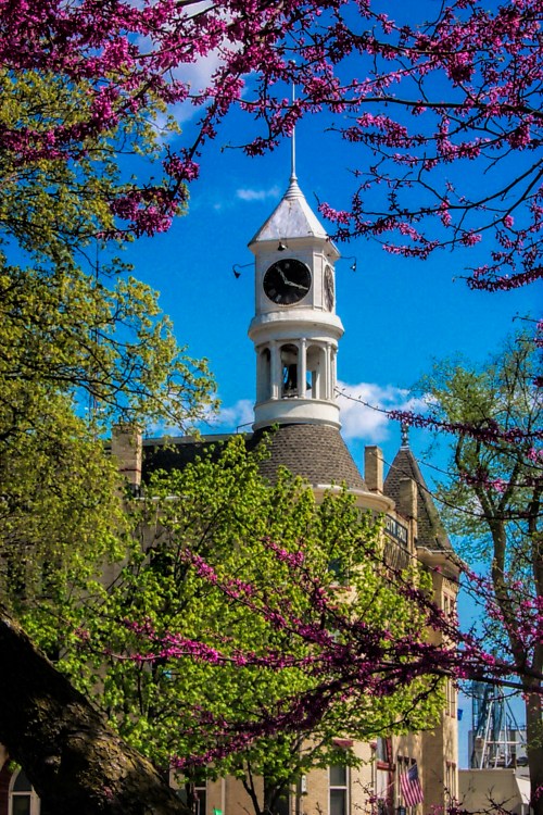 A clock tower peeks through vibrant green trees and pink blossoms under a bright blue sky.