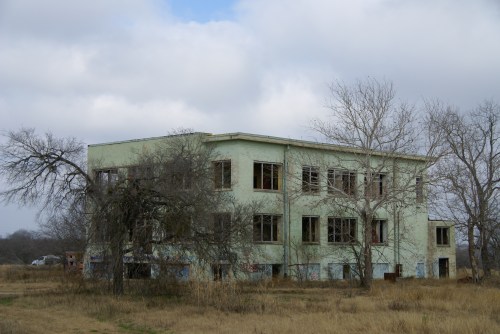 alt