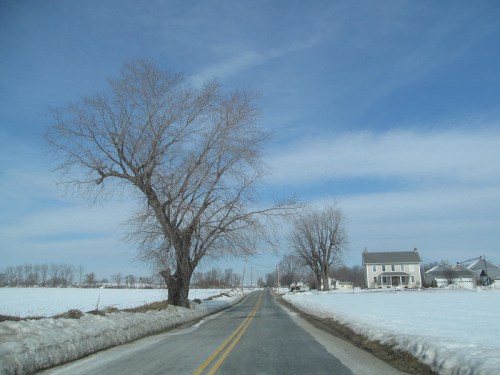 A snowy road lined with bare trees and a house under a blue sky with wispy clouds.