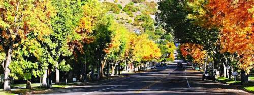 A tree-lined street in autumn, showcasing vibrant orange and green foliage under a clear blue sky.