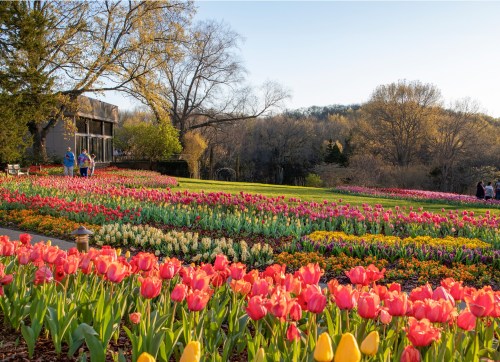 A vibrant garden filled with colorful tulips and flowers, with people enjoying the scenery under a clear sky.