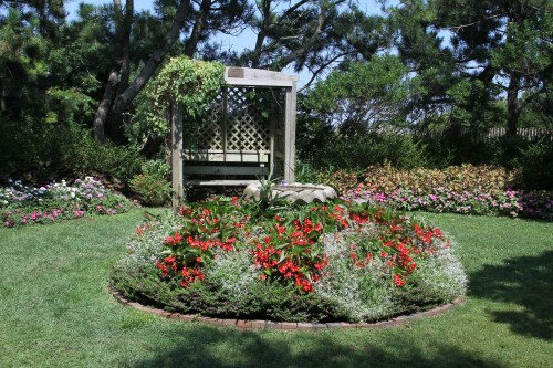 A serene garden featuring a circular flower bed with red flowers, surrounded by lush greenery and a wooden bench.
