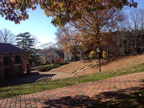 A scenic view of a park with autumn leaves, pathways, and buildings in the background under a clear blue sky.