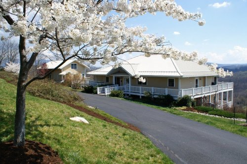 A scenic view of a house with a white flower tree in the foreground, set against a blue sky and rolling hills.
