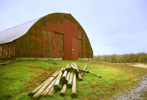 Red barn with a curved roof, surrounded by green grass and wooden logs stacked nearby, under a cloudy sky.