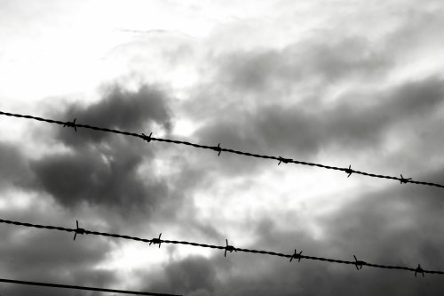 Barbed wire against a cloudy sky, creating a stark silhouette in black and white.