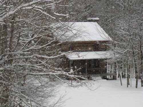 A cozy cabin surrounded by snow-covered trees, with snow gently falling in a serene winter landscape.