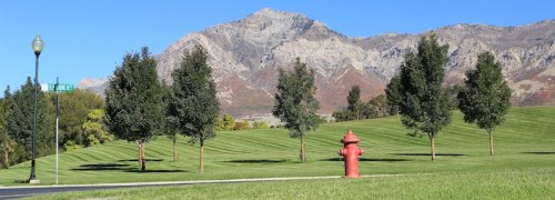 A red fire hydrant stands on a grassy field with trees and mountains in the background under a clear blue sky.