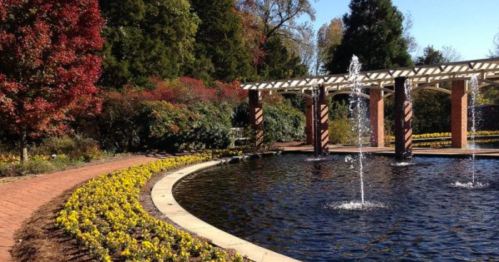 A serene garden with a pond, fountain, and colorful flowers, surrounded by lush greenery and trees.