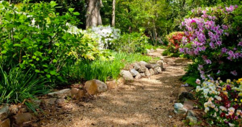 A scenic garden path lined with vibrant flowers and greenery, leading through a lush, tranquil landscape.